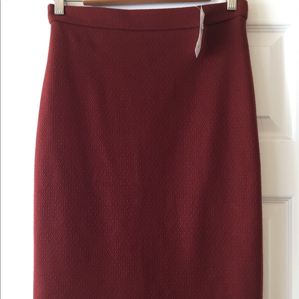 NWT Ann Taylor Pencil Skirt